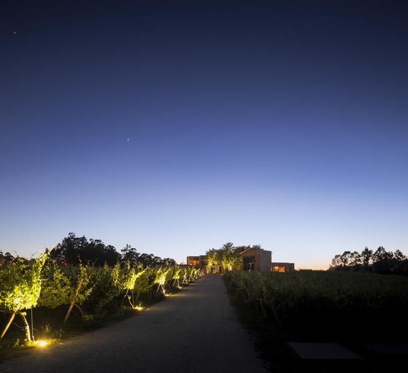 Monverde - Wine Experience Hotel - By Unlock Hotels Amarante Ngoại thất bức ảnh